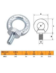 Cáncamo de izado M12 L20 Acero cincado 340kg